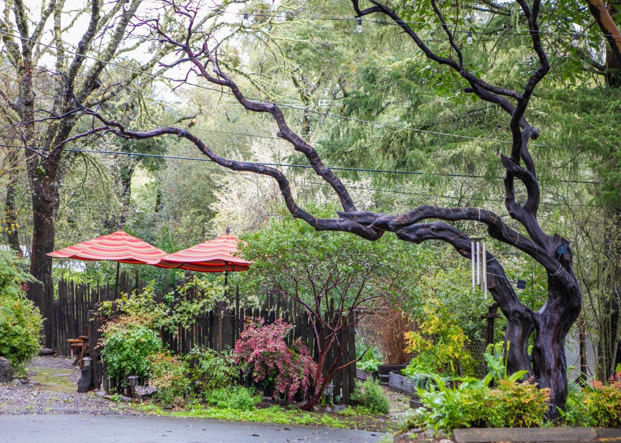 Anderson Valley Inn Philo Dış mekan fotoğraf